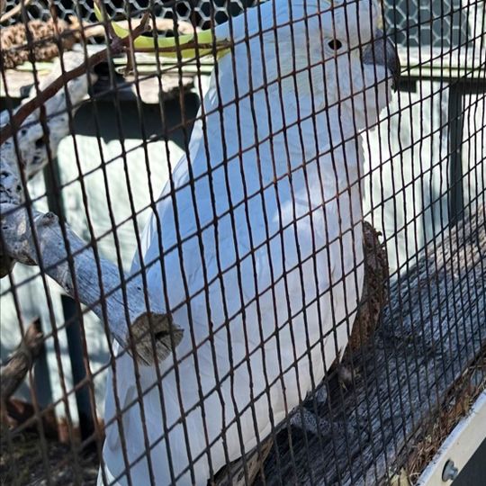 Wildlife Park Albany