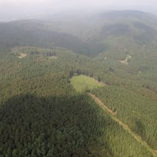 Waldreservat Glindfeld