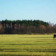 Grodzisko w Jarantowie
