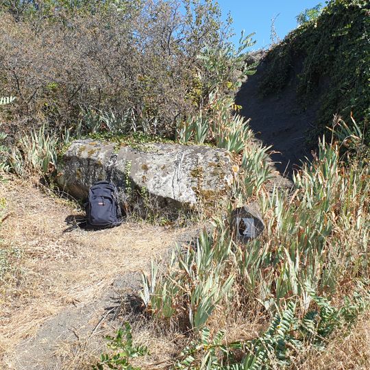 Menhir du Puy de la Poix