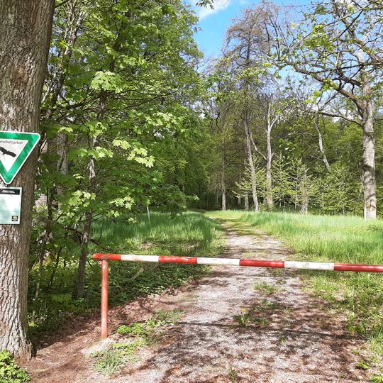 Crailsheimer Eichwald