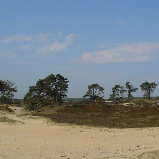 Parc national Drents-Friese Wold