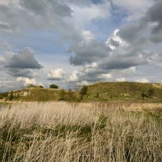 Муравицьке городище