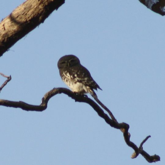 Parco nazionale di Gugamal