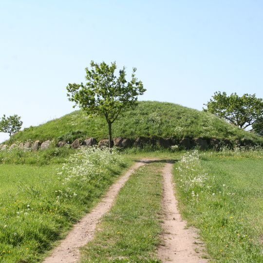 Grønhøj von Rugballe