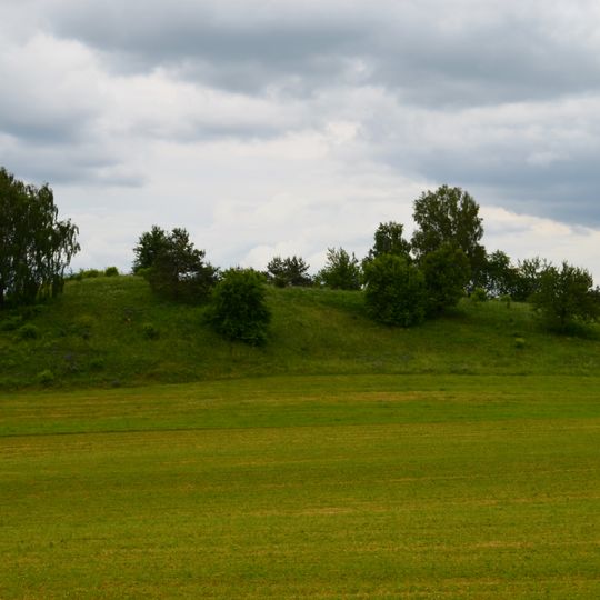 Paliūnų piliakalnis