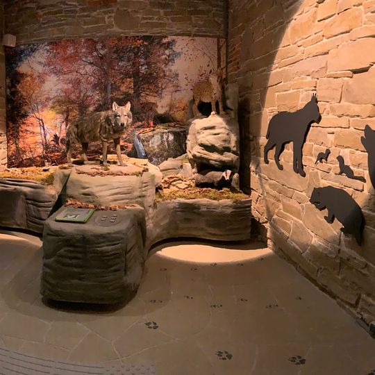 Ośrodek Edukacyjny Gorczańskiego Parku Narodowego w parku dworskim Wodzickich