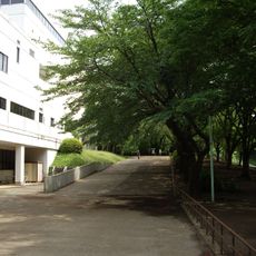 Nagareyama City Sports Park