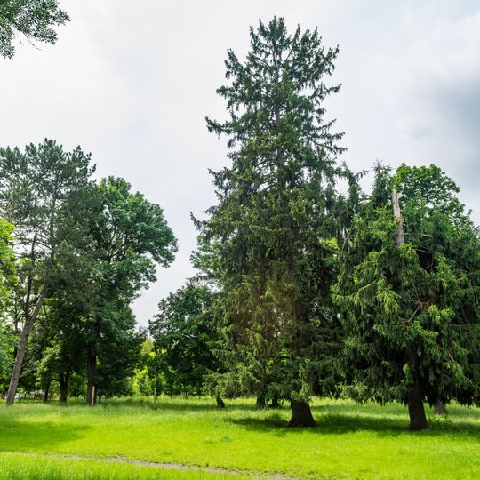 Park of Cuhureștii de Sus