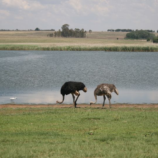 Bronkhorstspruit Dam Nature Reserve