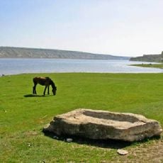 Cobîleni