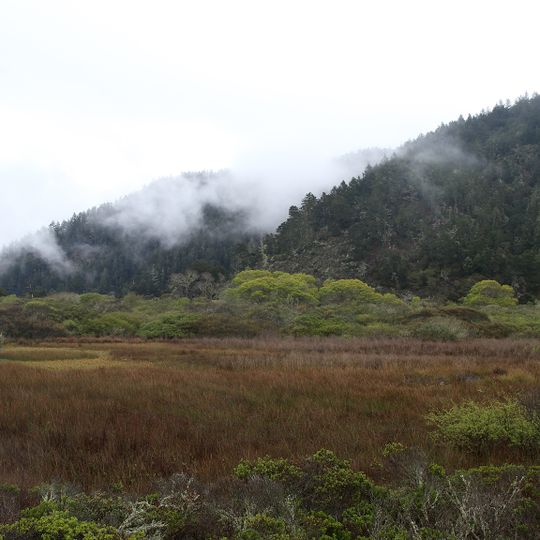 Big Basin Redwoods State Park