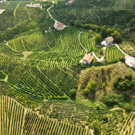 Colline del Prosecco di Valdobbiadene e Conegliano