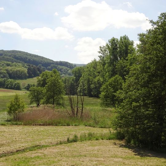 Herrensee von Niedernhausen