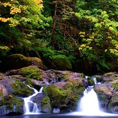 Cavitt Creek Falls