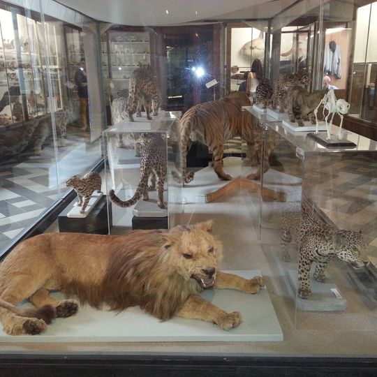 Muséum d'histoire naturelle de Nîmes