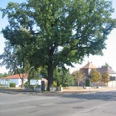 Kaiser-Wilhelm-Eiche