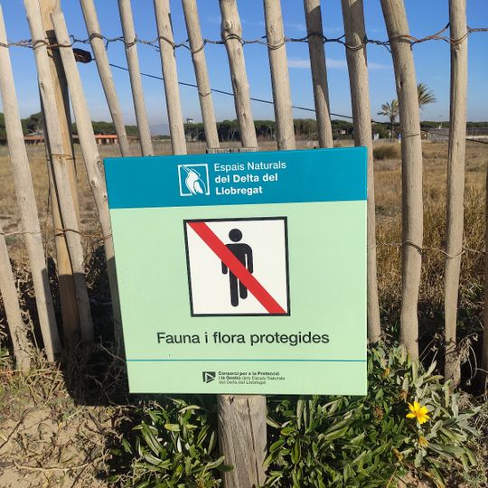 Platja de la Roberta