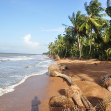 Shell Beach