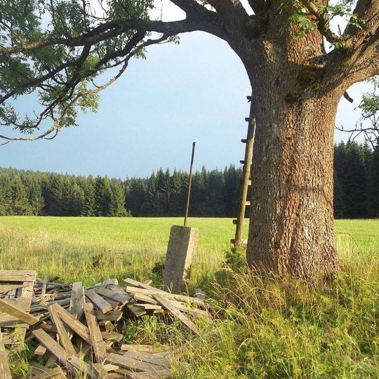 Kříž u stromu v polích u Závisti
