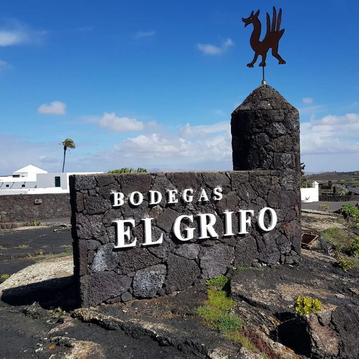 Musée du Vin El Grifo