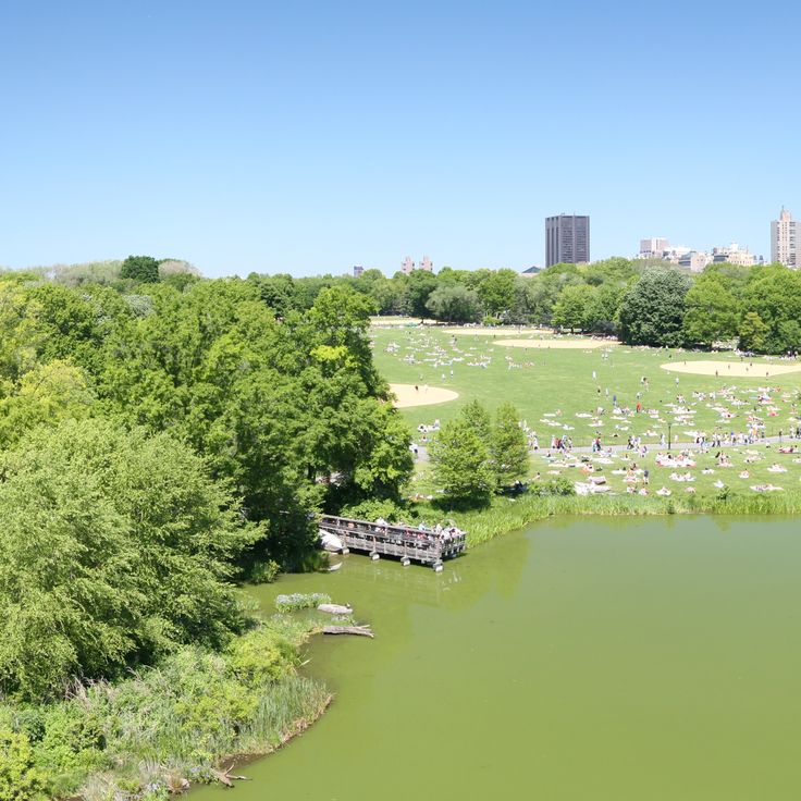 Turtle Pond