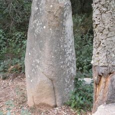 Megalith