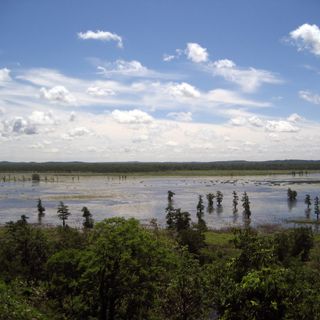 Rezerwat Dzikich Zwierząt Mingo