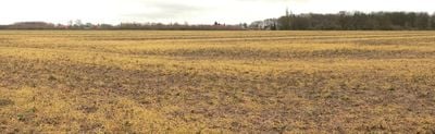 Panoramic View 1