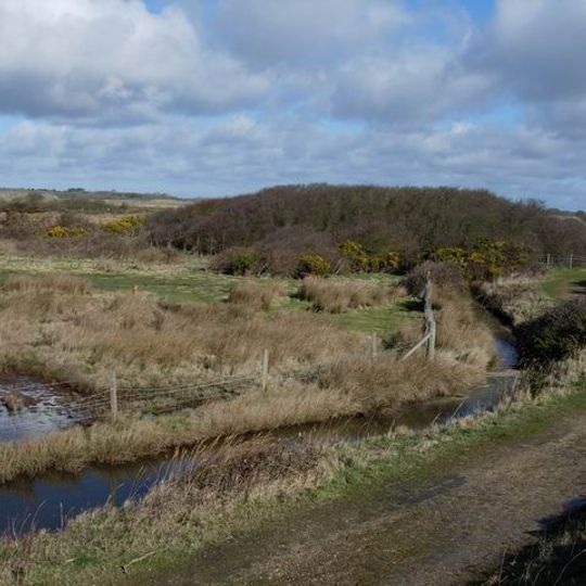 Lymington and Keyhaven Marshes