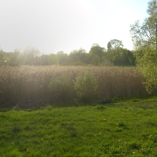 Użytek ekologiczny "Traszki Ratajskie"