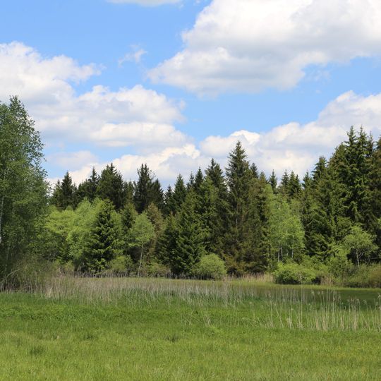 Eglinger und Ascholdinger Filze