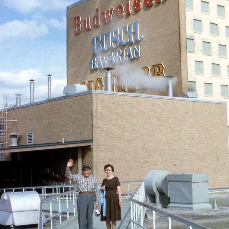 Busch Gardens Tampa Bay