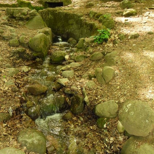 Այ Յորի