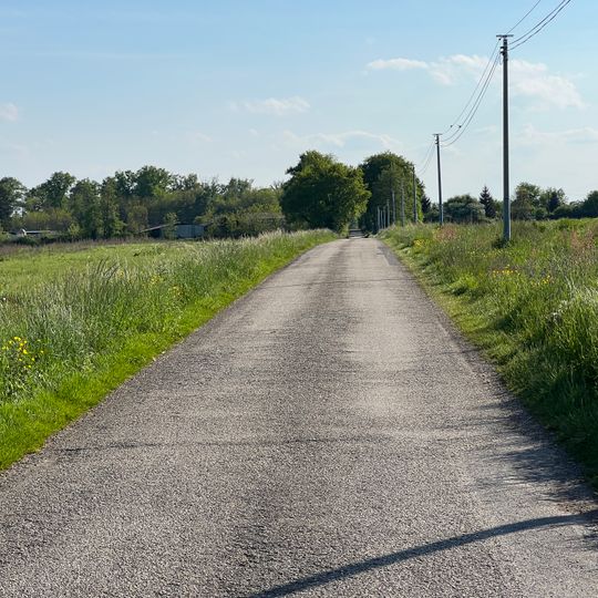 Route du Champ-de-l'Étang