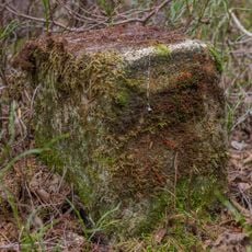 Forstgrenzsteine der Nord- und Westgrenzen des Fürther Stadtwaldes Nrn. 4–5, 10, 12, 13–15, 18–25, 27, 29