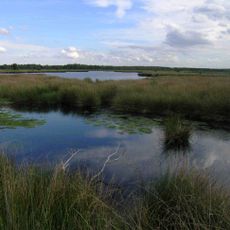 De Groote Peel National Park