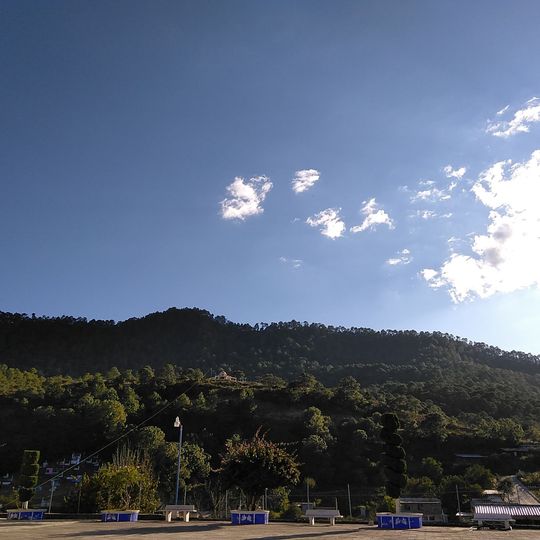 Forêts de pins et de chênes de la Sierra Madre méridionale