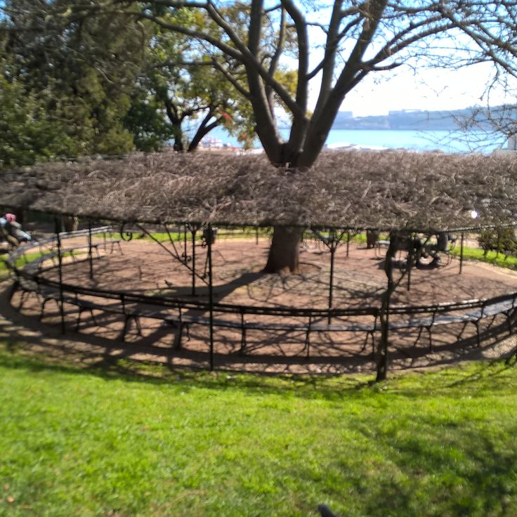 Jardim 9 de Abril