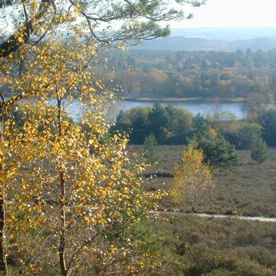 Frensham Common