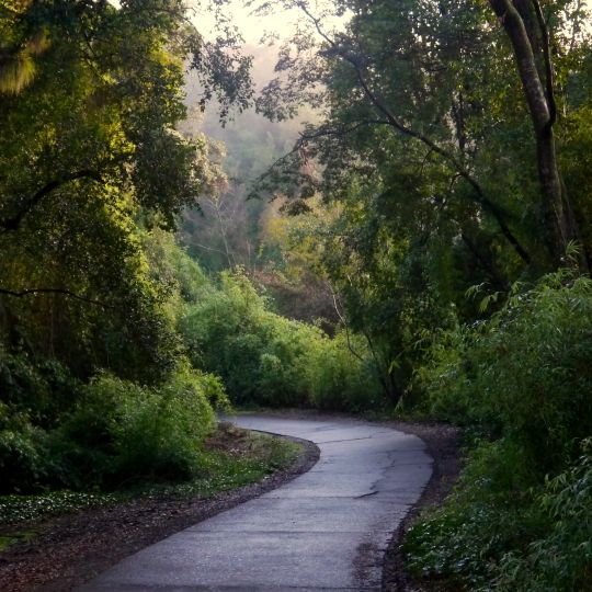 Monumento natural Cerro Ñielol