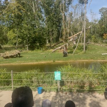 The most beautiful animal parks: between discovery and protection of nature
