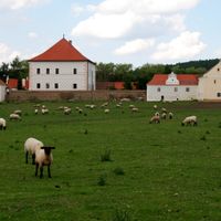 Křepenice