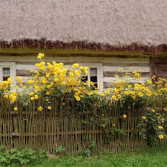 Hola, Włodawa County