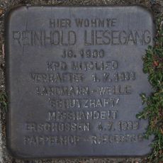 Reinhold Liesegang