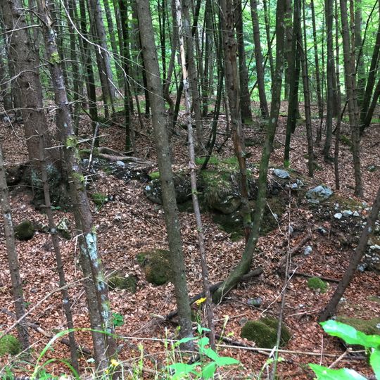Befestigte Höhensiedlung Förker Laasriegel