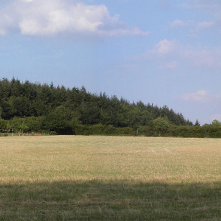 Орн