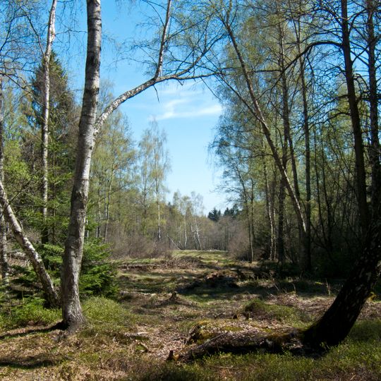 Skalské rašeliniště