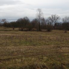 Sukzessionsfläche und Tümpel "Ob dem Hart"