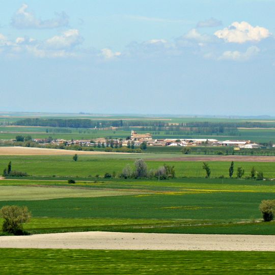 Meneses de Campos